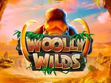 Wild Fortune Casino screenshot